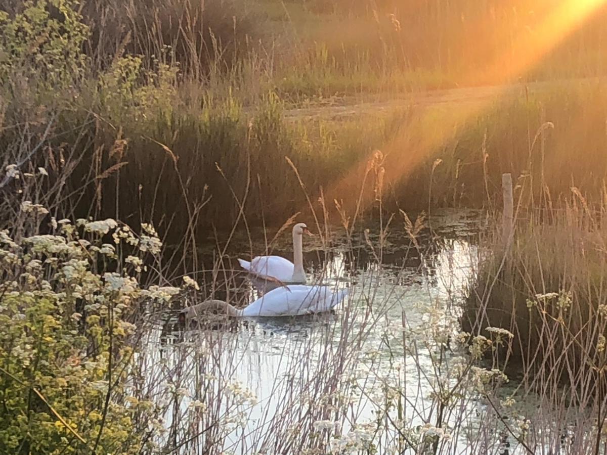 Raffinee L'enclos Des Lys, Proche De La Mer, Linge Inclus Villa Saint-Georges-d'Oleron